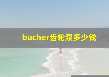 bucher齿轮泵多少钱