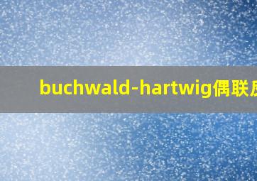 buchwald-hartwig偶联反应