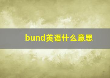 bund英语什么意思