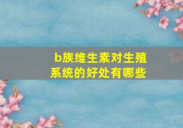 b族维生素对生殖系统的好处有哪些