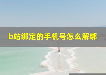 b站绑定的手机号怎么解绑