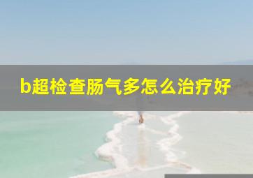 b超检查肠气多怎么治疗好