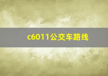 c6011公交车路线