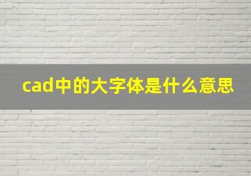 cad中的大字体是什么意思