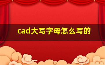 cad大写字母怎么写的