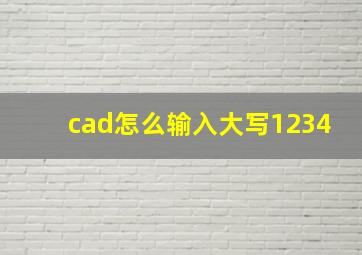 cad怎么输入大写1234