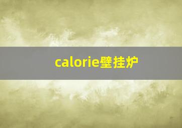 calorie壁挂炉