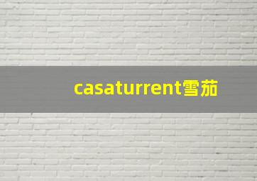 casaturrent雪茄