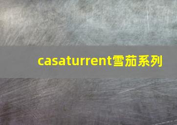 casaturrent雪茄系列