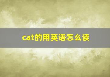 cat的用英语怎么读