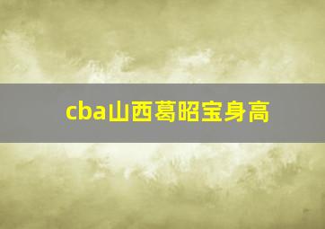 cba山西葛昭宝身高