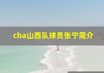 cba山西队球员张宁简介