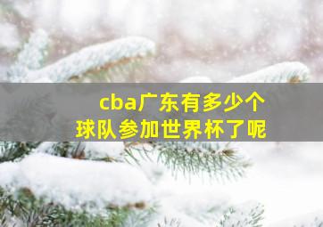 cba广东有多少个球队参加世界杯了呢