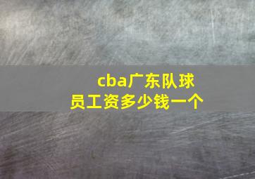 cba广东队球员工资多少钱一个