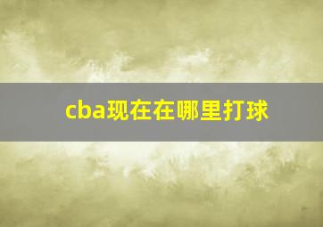 cba现在在哪里打球