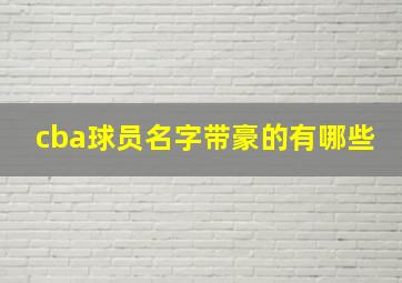 cba球员名字带豪的有哪些