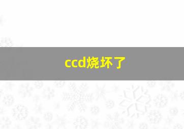 ccd烧坏了