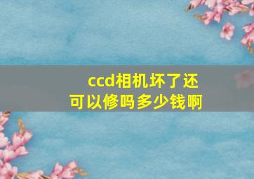 ccd相机坏了还可以修吗多少钱啊