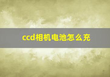 ccd相机电池怎么充