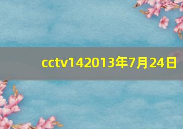 cctv142013年7月24日