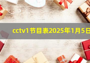 cctv1节目表2025年1月5日