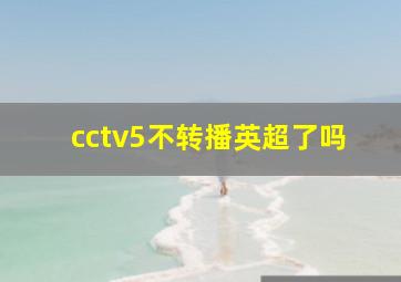 cctv5不转播英超了吗