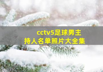 cctv5足球男主持人名单照片大全集