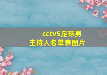 cctv5足球男主持人名单表图片