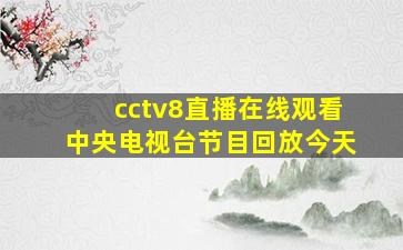 cctv8直播在线观看中央电视台节目回放今天