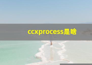 ccxprocess是啥