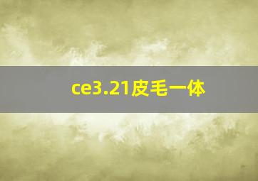 ce3.21皮毛一体