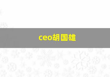 ceo胡国雄