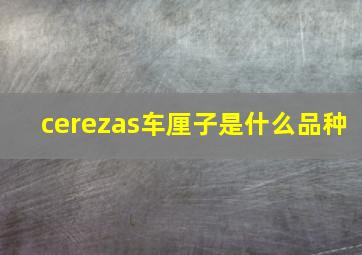 cerezas车厘子是什么品种