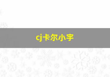 cj卡尔小宇