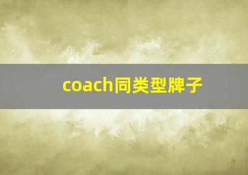 coach同类型牌子