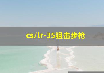 cs/lr-35狙击步枪