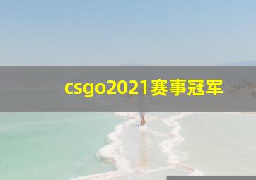 csgo2021赛事冠军