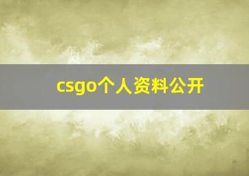 csgo个人资料公开