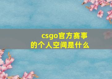 csgo官方赛事的个人空间是什么