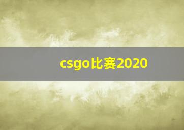 csgo比赛2020