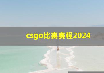 csgo比赛赛程2024