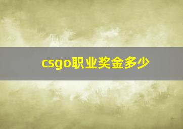 csgo职业奖金多少