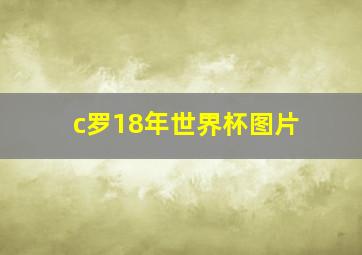 c罗18年世界杯图片