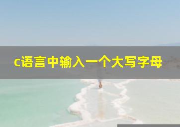 c语言中输入一个大写字母