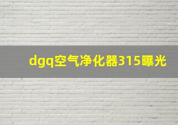 dgq空气净化器315曝光