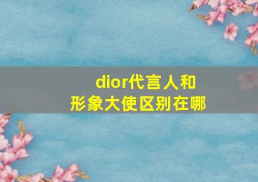 dior代言人和形象大使区别在哪