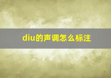 diu的声调怎么标注