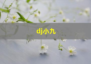 dj小九