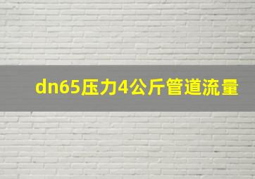 dn65压力4公斤管道流量