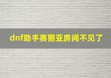 dnf助手赛丽亚房间不见了